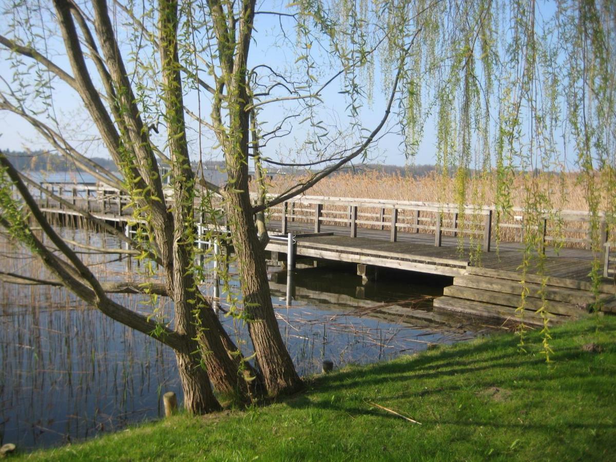 Schloss-Und Seeblick Apartment Rheinsberg Exterior foto